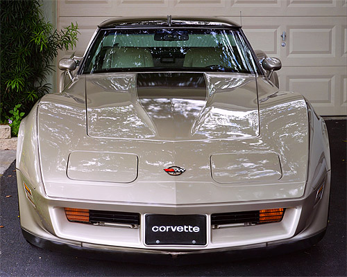 [1982 Collector Edition in The Driveway; Click To See a Larger Image]